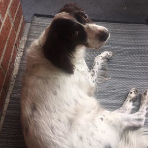 Meet your Posher, Kim